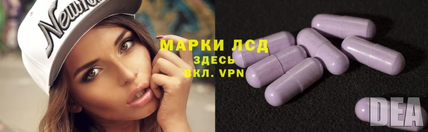 ПСИЛОЦИБИНОВЫЕ ГРИБЫ Абаза