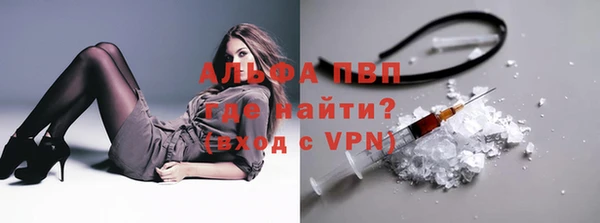 ПСИЛОЦИБИНОВЫЕ ГРИБЫ Абаза