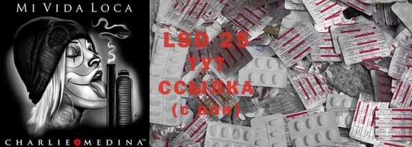ПСИЛОЦИБИНОВЫЕ ГРИБЫ Абаза