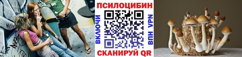 Галлюциногенные грибы мухоморы  магазин    Агрыз 
